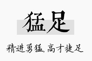 猛足名字的寓意及含义