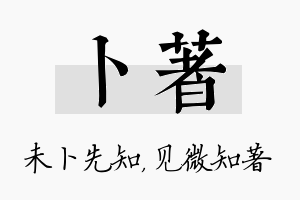 卜著名字的寓意及含义