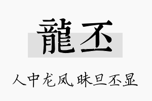 龙丕名字的寓意及含义