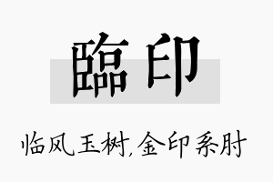 临印名字的寓意及含义