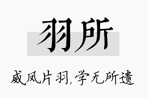 羽所名字的寓意及含义