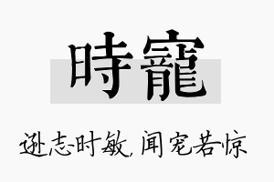 时宠名字的寓意及含义