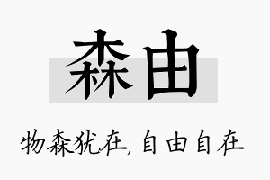 森由名字的寓意及含义