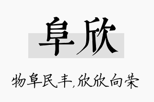 阜欣名字的寓意及含义