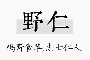 野仁名字的寓意及含义