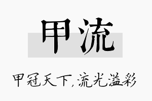 甲流名字的寓意及含义