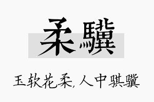 柔骥名字的寓意及含义