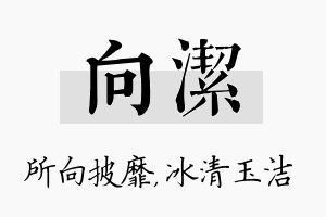 向洁名字的寓意及含义