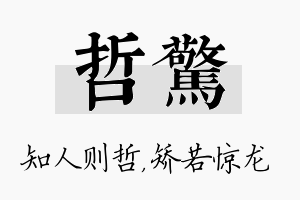 哲惊名字的寓意及含义