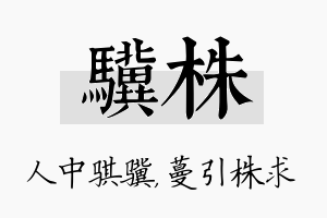 骥株名字的寓意及含义