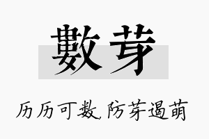 数芽名字的寓意及含义