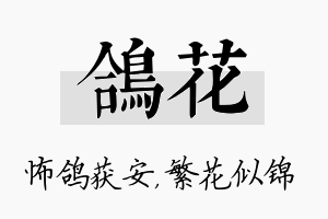 鸽花名字的寓意及含义