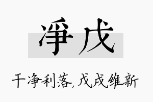 净戊名字的寓意及含义