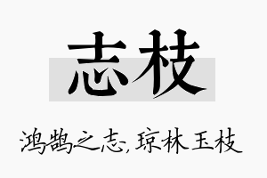 志枝名字的寓意及含义