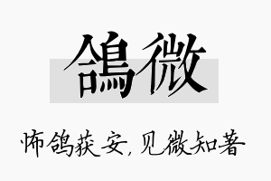 鸽微名字的寓意及含义