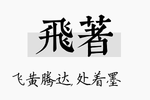 飞着名字的寓意及含义