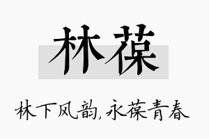 林葆名字的寓意及含义