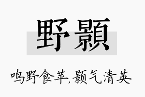 野颢名字的寓意及含义