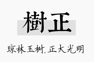 树正名字的寓意及含义