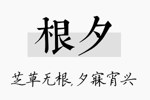 根夕名字的寓意及含义