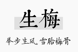 生梅名字的寓意及含义