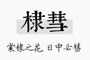 棣彗名字的寓意及含义