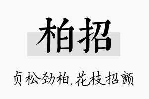 柏招名字的寓意及含义