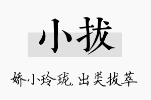 小拔名字的寓意及含义