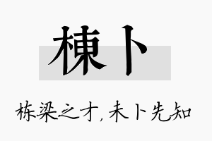 栋卜名字的寓意及含义