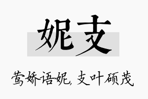 妮支名字的寓意及含义