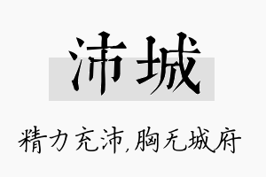 沛城名字的寓意及含义