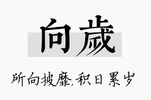 向岁名字的寓意及含义