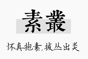 素丛名字的寓意及含义