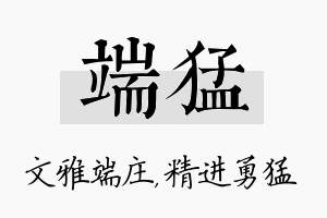 端猛名字的寓意及含义