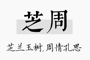 芝周名字的寓意及含义