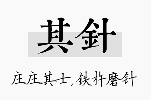 其针名字的寓意及含义