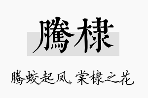 腾棣名字的寓意及含义