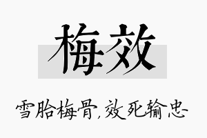 梅效名字的寓意及含义