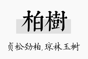 柏树名字的寓意及含义