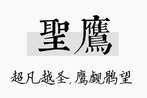 圣鹰名字的寓意及含义