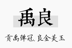 禹良名字的寓意及含义