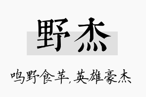 野杰名字的寓意及含义