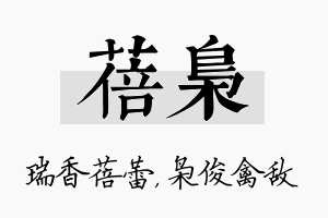 蓓枭名字的寓意及含义