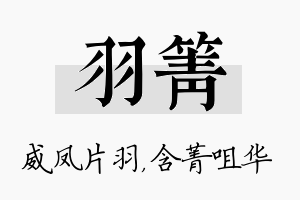 羽箐名字的寓意及含义