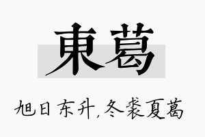 东葛名字的寓意及含义