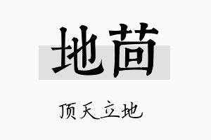 地茴名字的寓意及含义