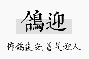 鸽迎名字的寓意及含义