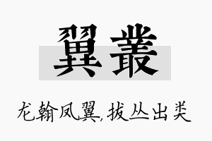 翼丛名字的寓意及含义