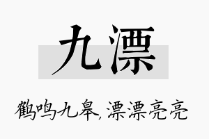 九漂名字的寓意及含义