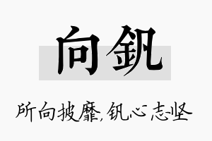 向钒名字的寓意及含义